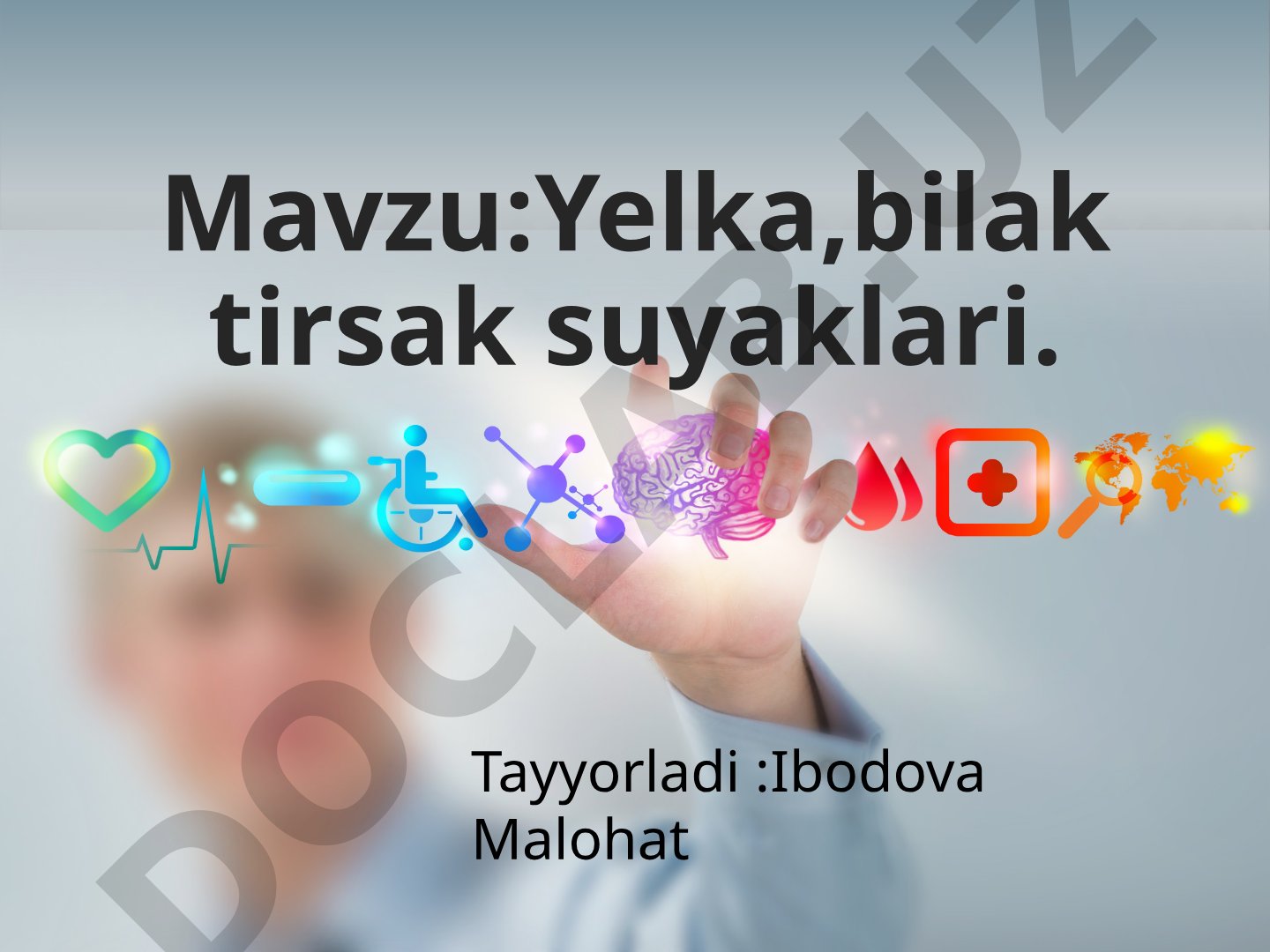 Yelka, bilak tirsak suyaklari