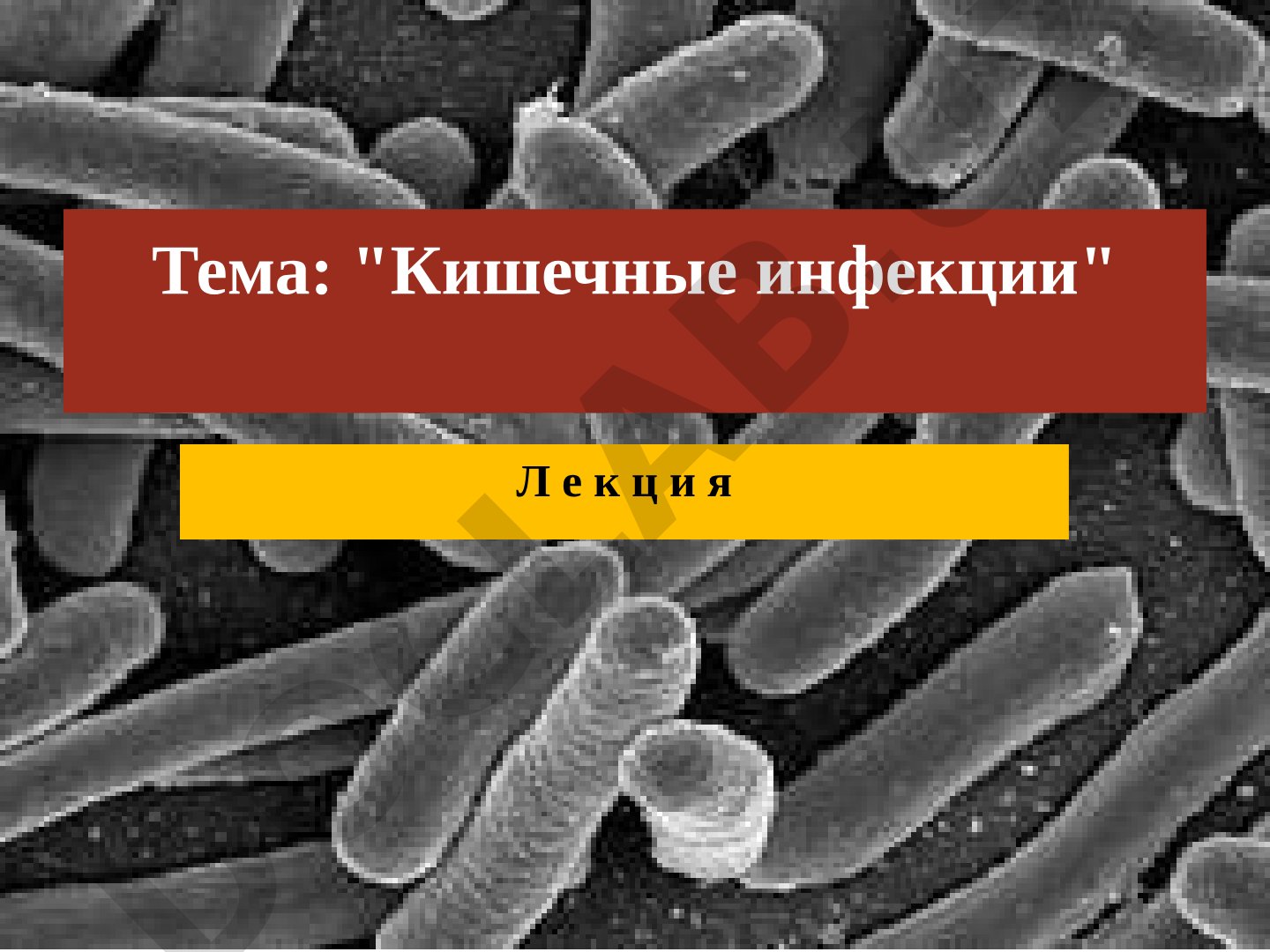 Лекция о кишечных инфекциях: эшерихии, сальмонеллы, шигеллы, иерсинии, холерный вибрион