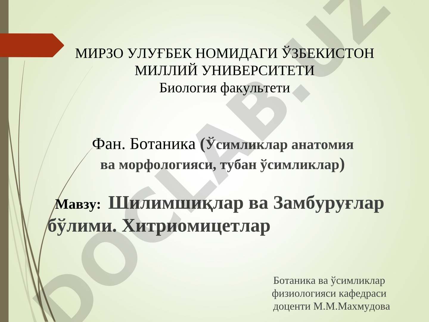 Шилимшиқлар ва Замбуруғлар бўлими. Хитриомицетлар