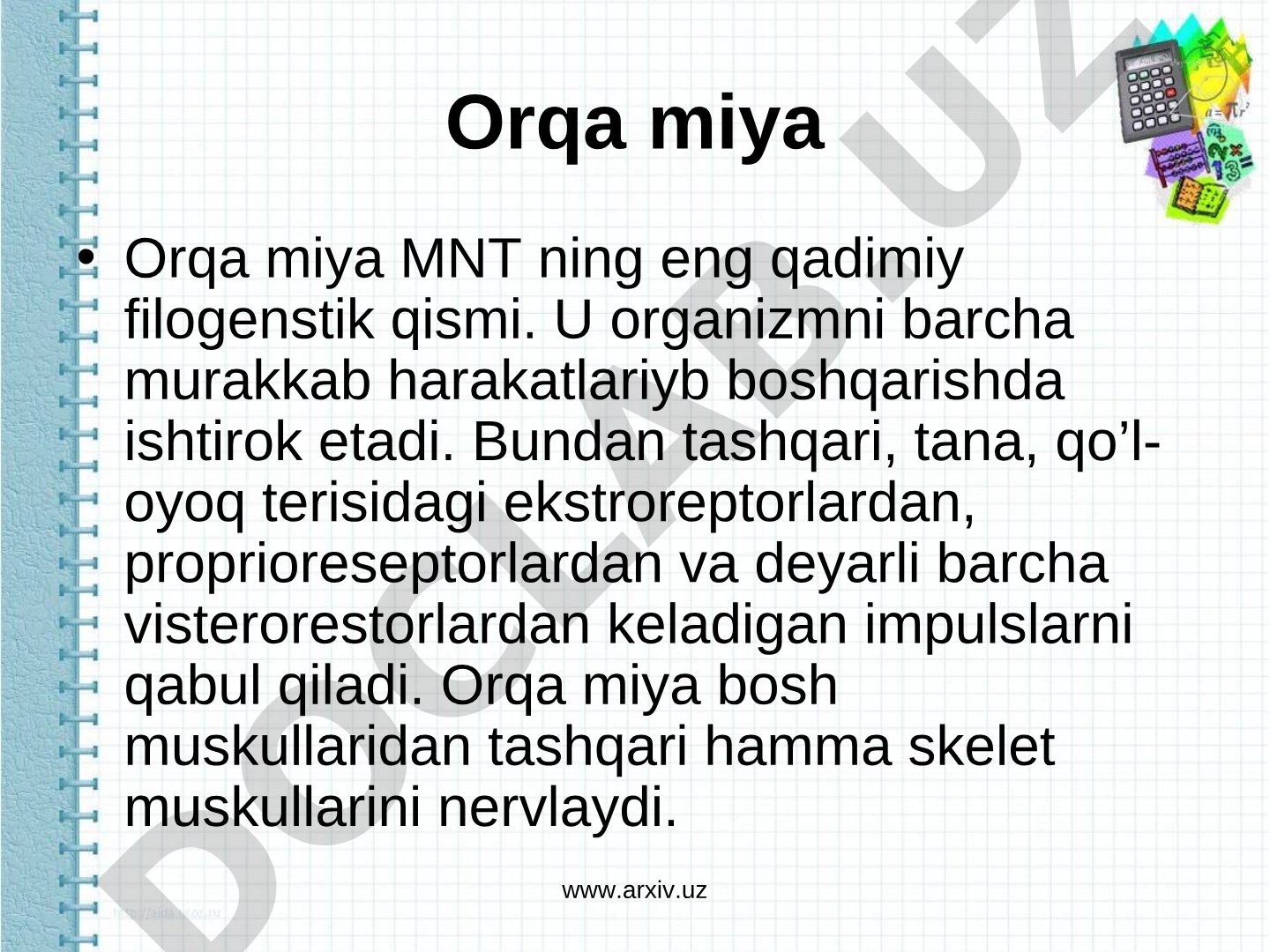 Orqa miyaning tuzilishi, funksiyalari va reflektor faoliyati