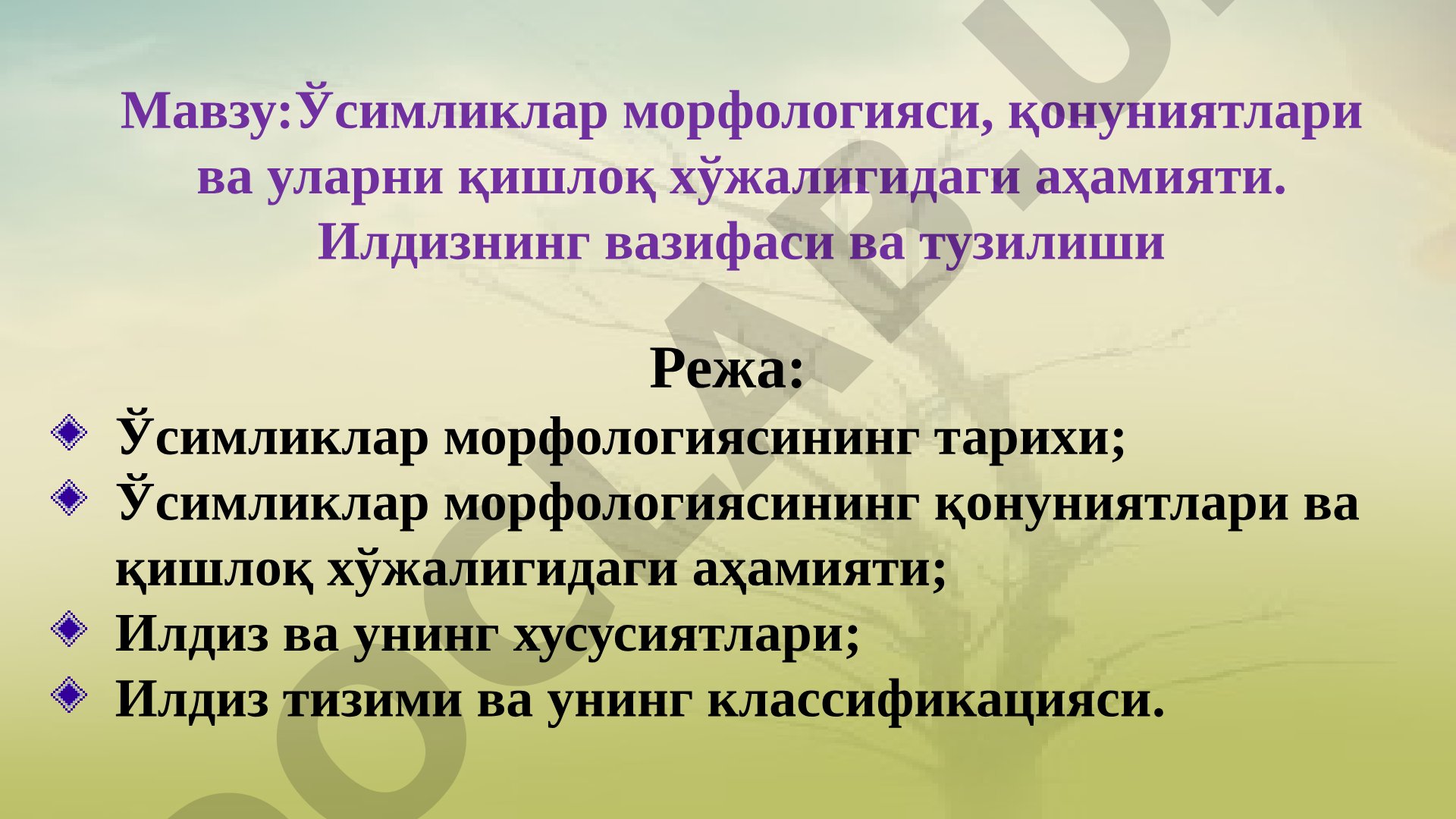 Ўсимликлар морфологияси, қонуниятлари ва уларни қишлоқ хўжалигидаги аҳамияти. Илдизнинг вазифаси ва тузилиши