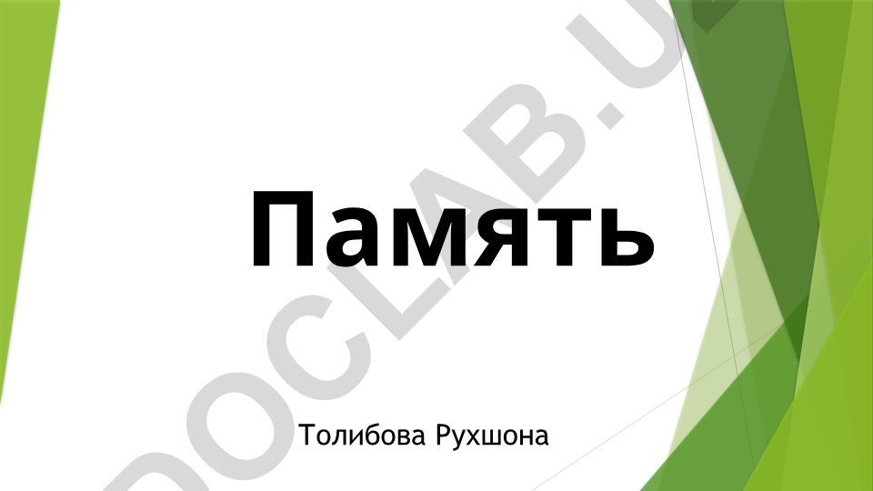 Память: определение, структура, процессы и улучшение