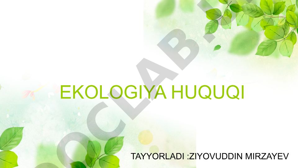 Muhofaza etiladigan tabiiy hududlarning huquqiy maqomi