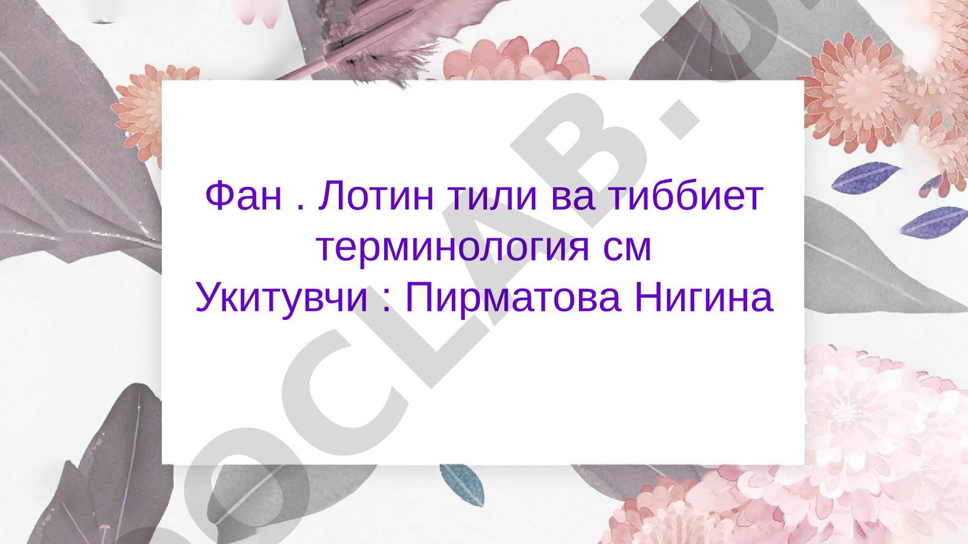 Лотин тили предмети ва унинг тарихи