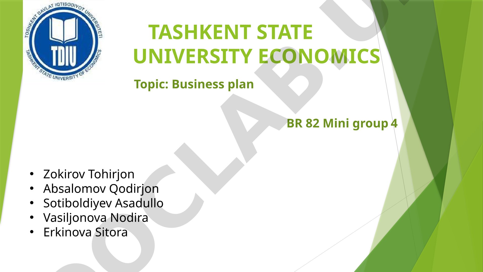 Business plan BR 82