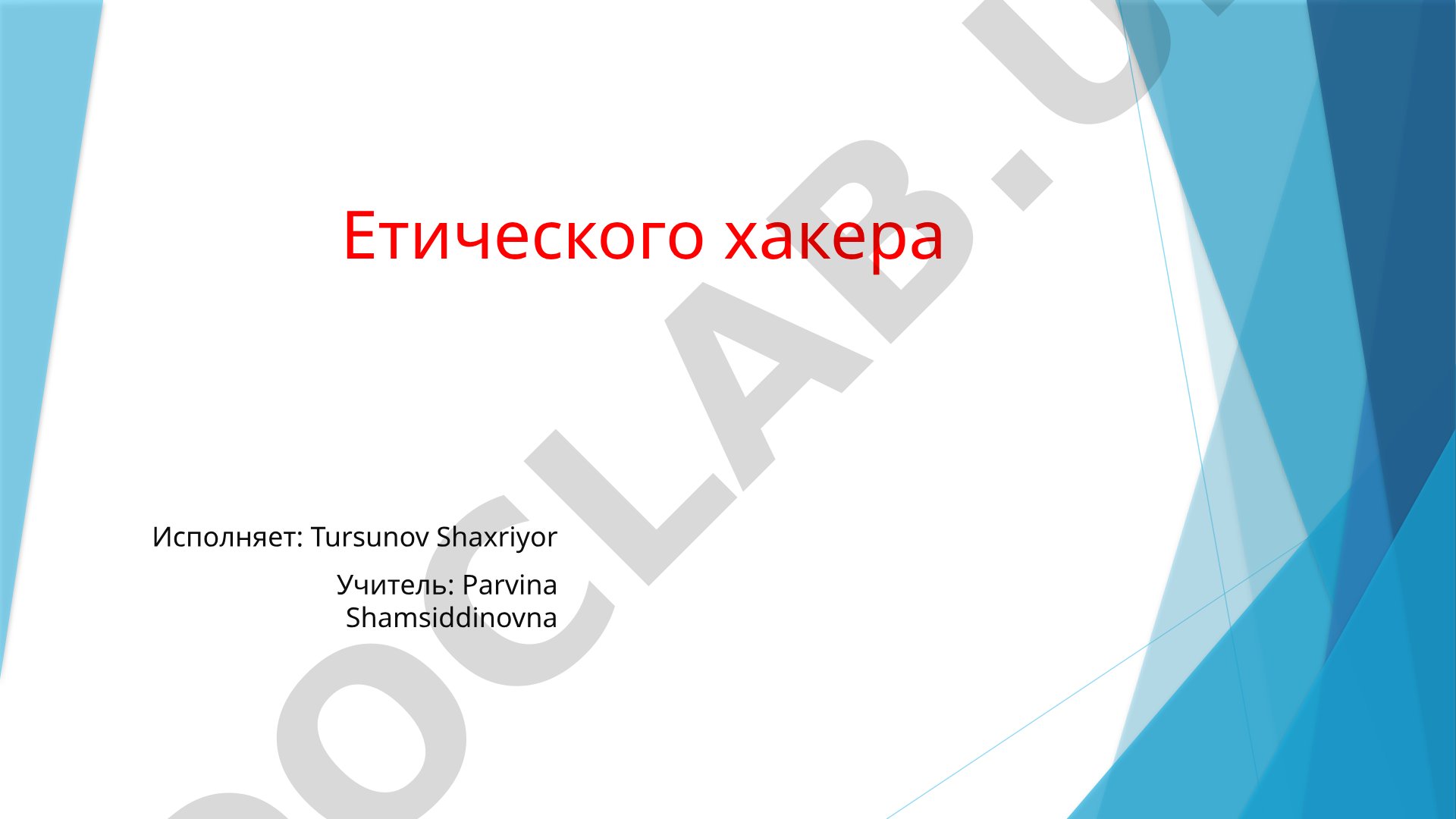 Этический хакер: определение, роль, методики и этика