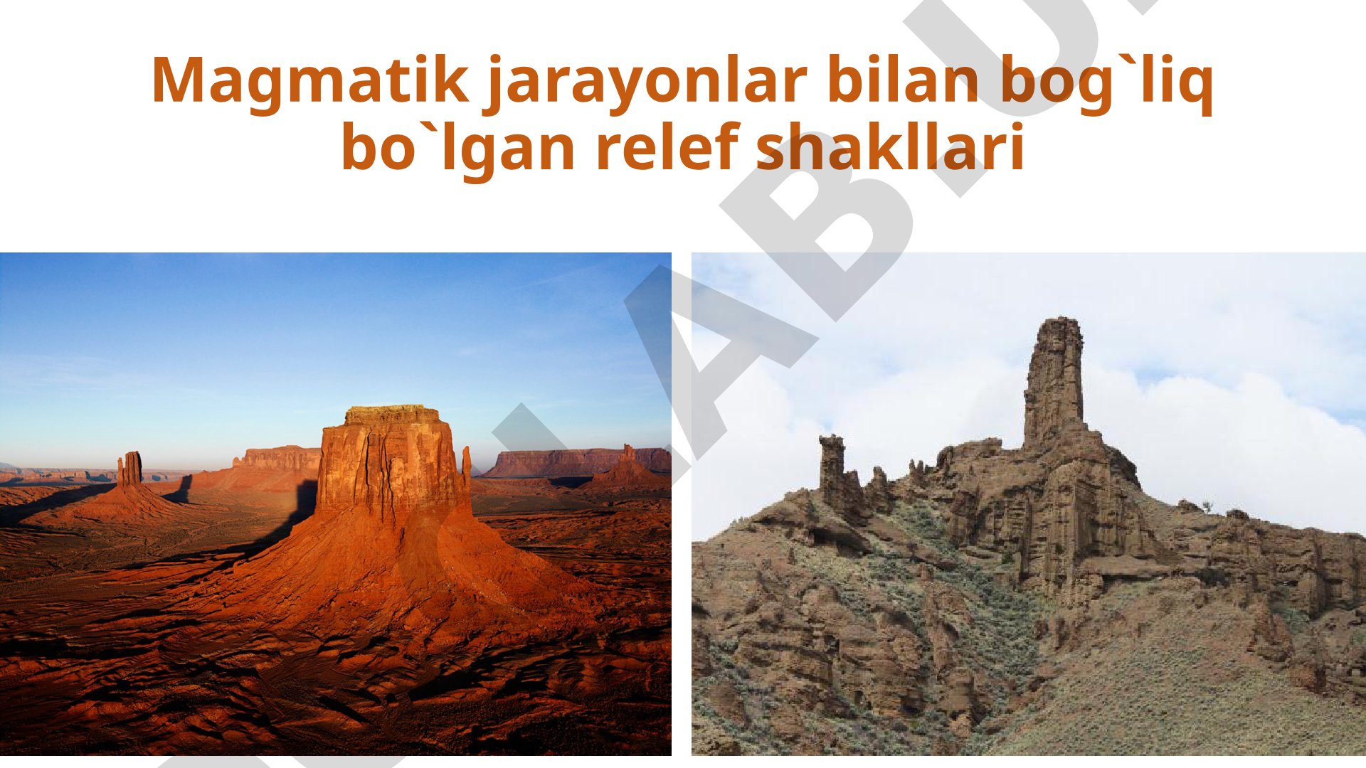 Magmatik jarayonlar bilan bog'liq relef shakllari