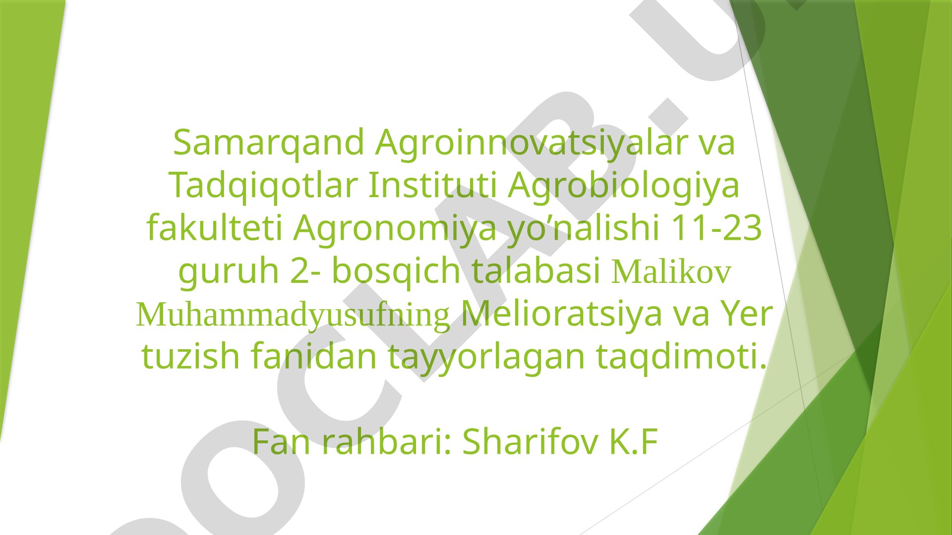 Sho’rlangan yerlarda asosiy sho’ri yuvib bo’lingandan keyin ekiladigan dastlabki o’zlashtirish ekinlarini yetishtirish texnologiyalari