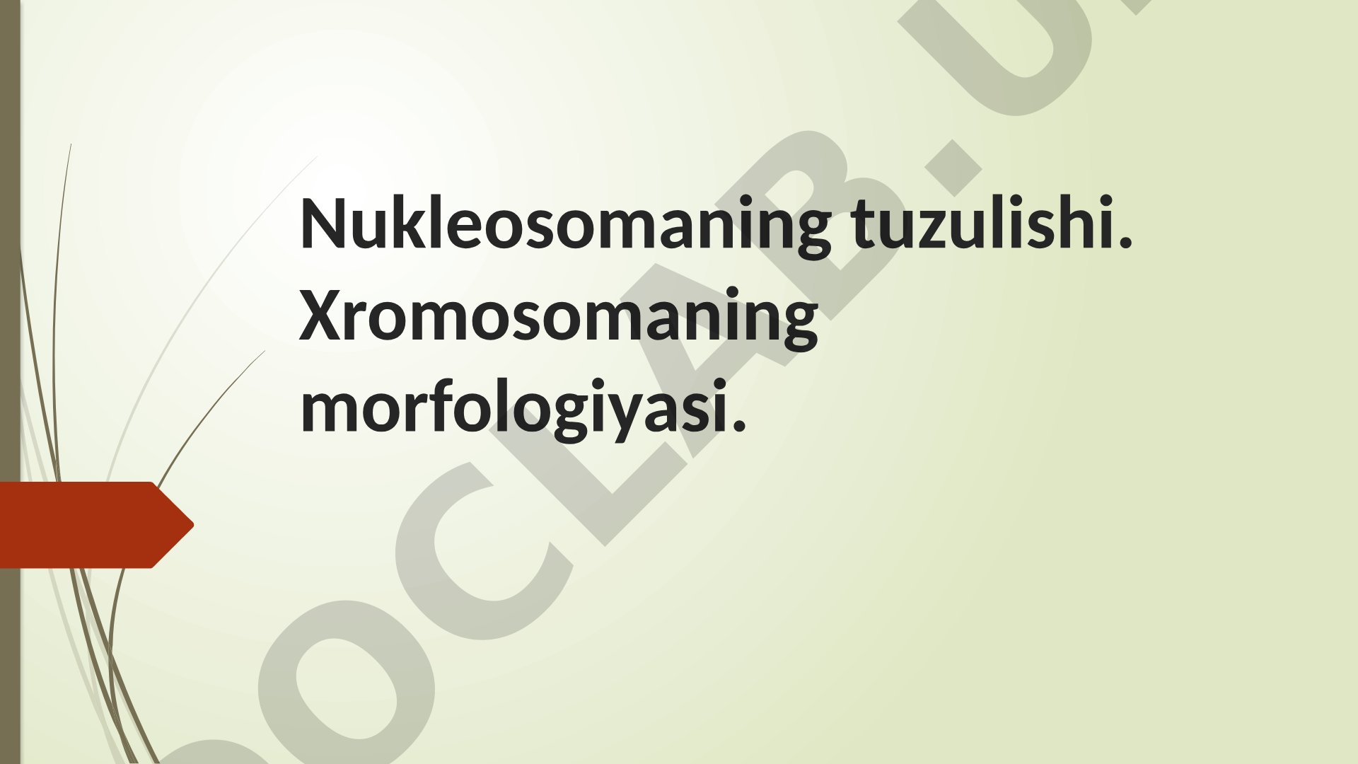 Nukleosomaning tuzilishi va xromosoma morfologiyasi