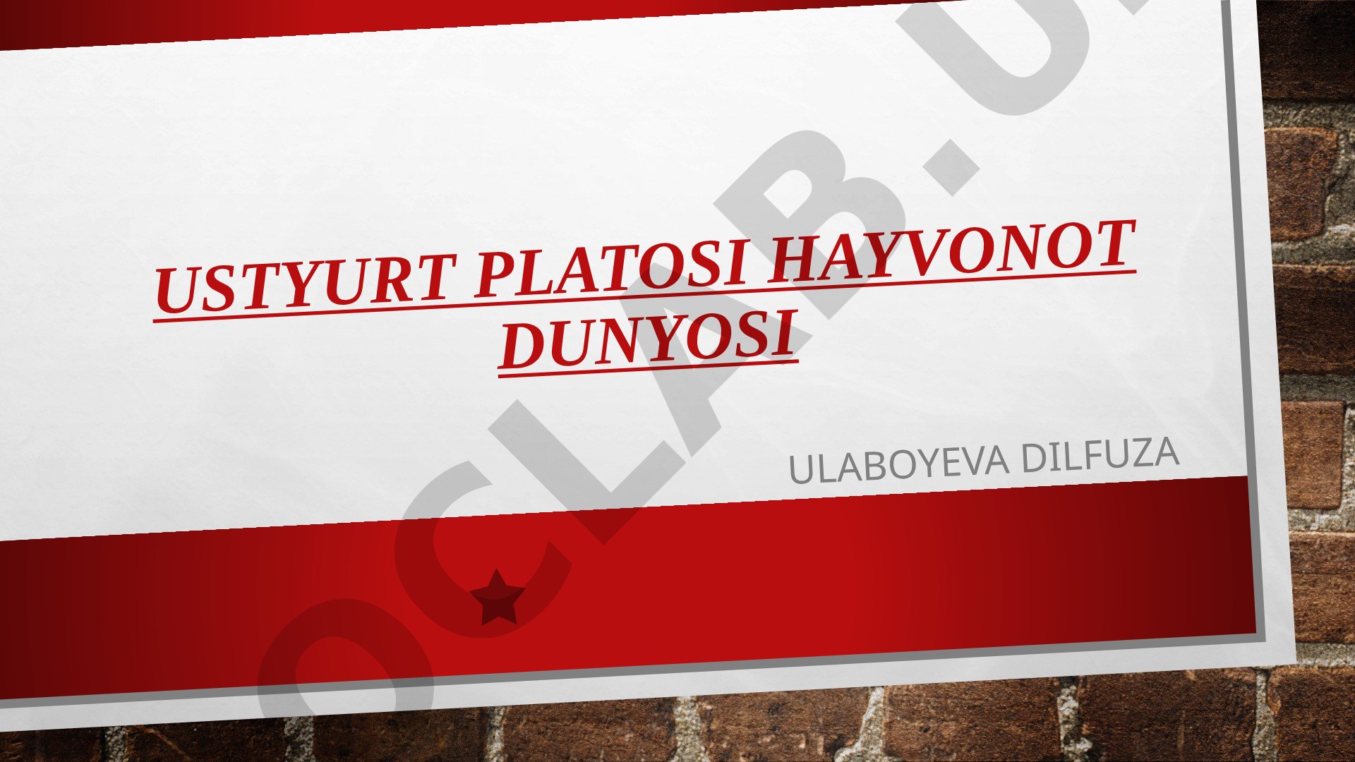 Ustyurt platosi hayvonot dunyosi
