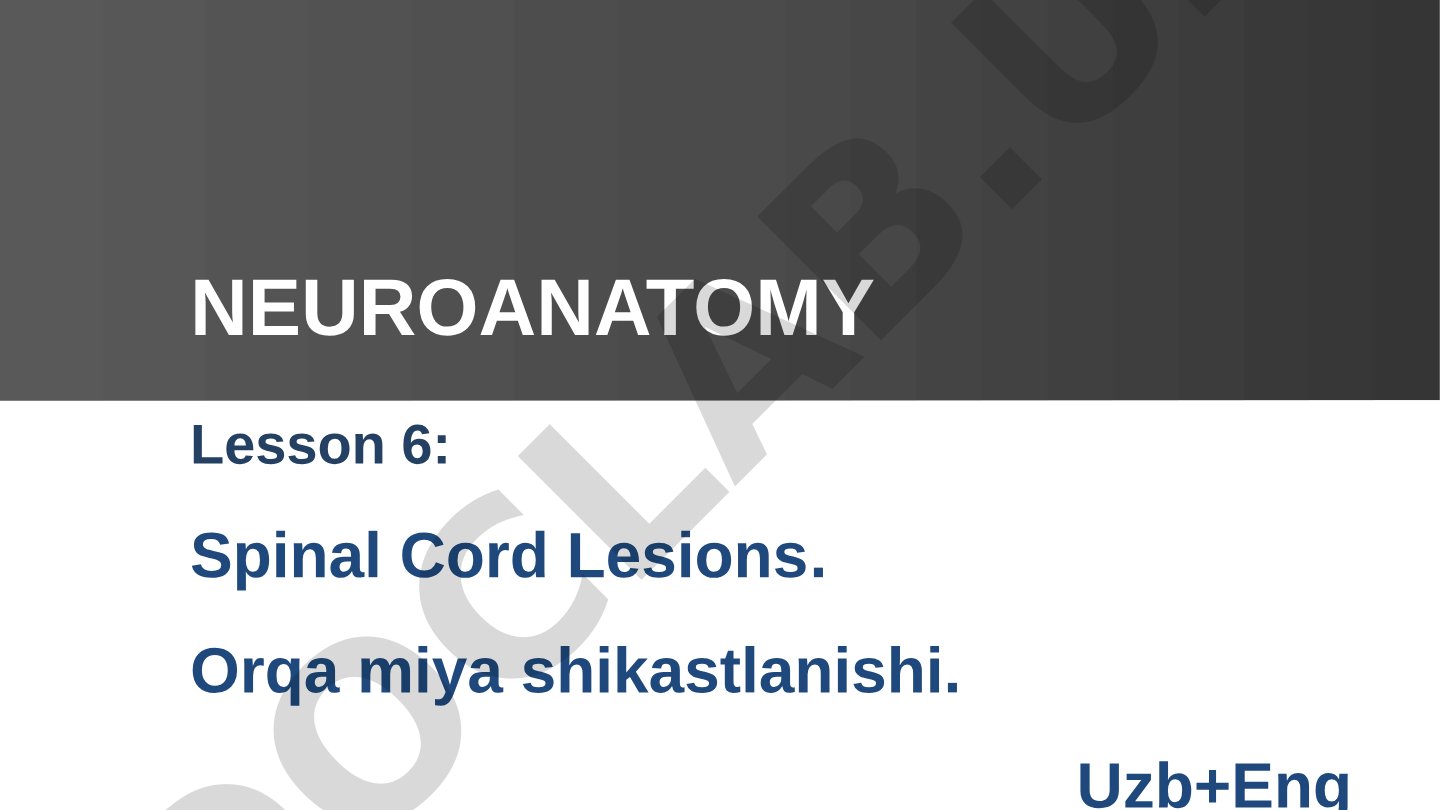 Spinal Cord Lesions. Orqa miya shikastlanishi