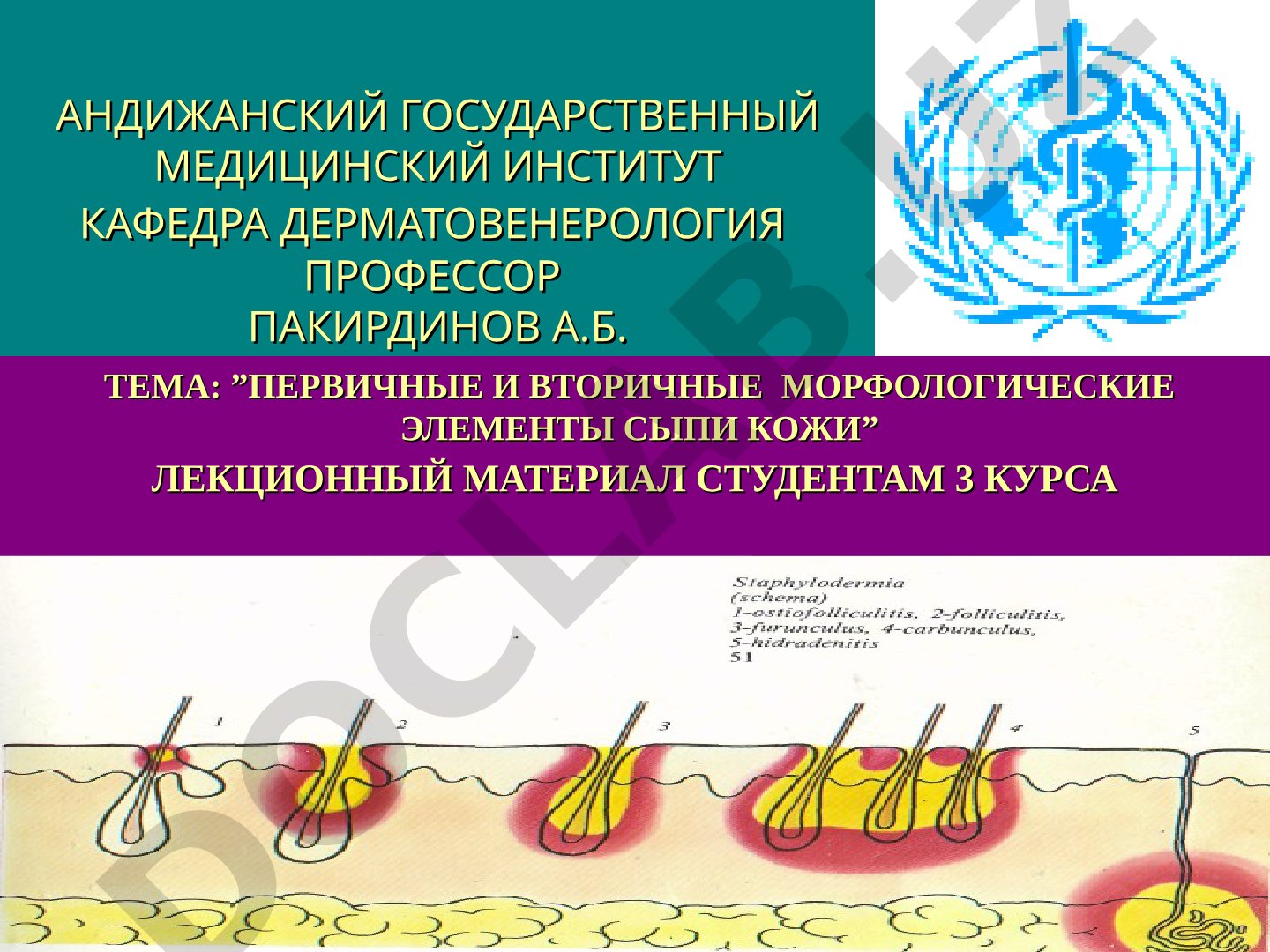Первичные и вторичные морфологические элементы сыпи кожи