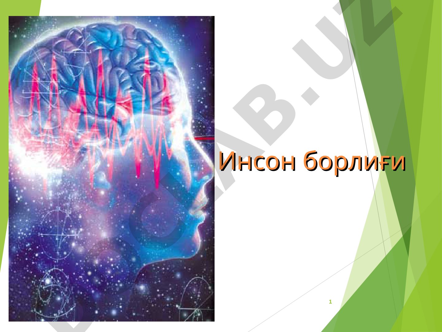Инсон борлиғининг ўзига хос хусусиятлари
