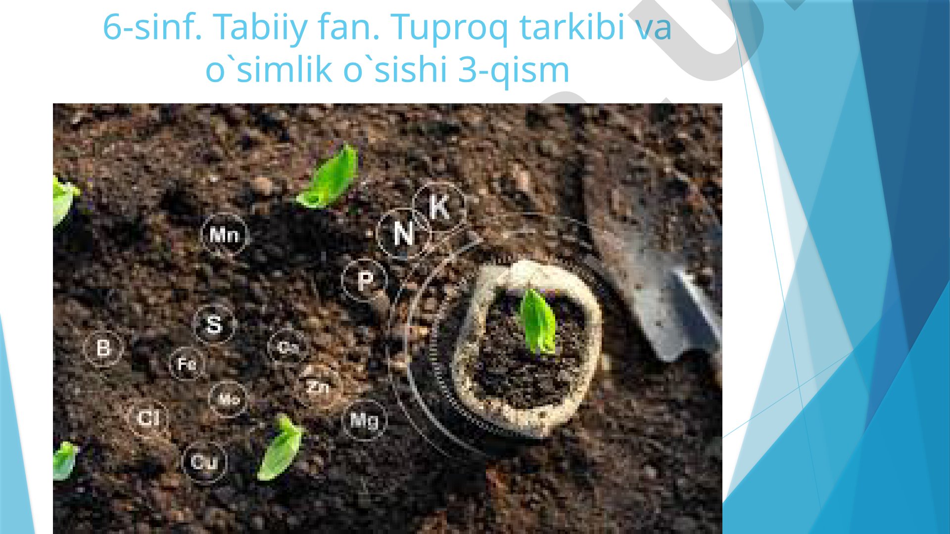 Tuproq tarkibi va o'simlik o'sishi 3-qism