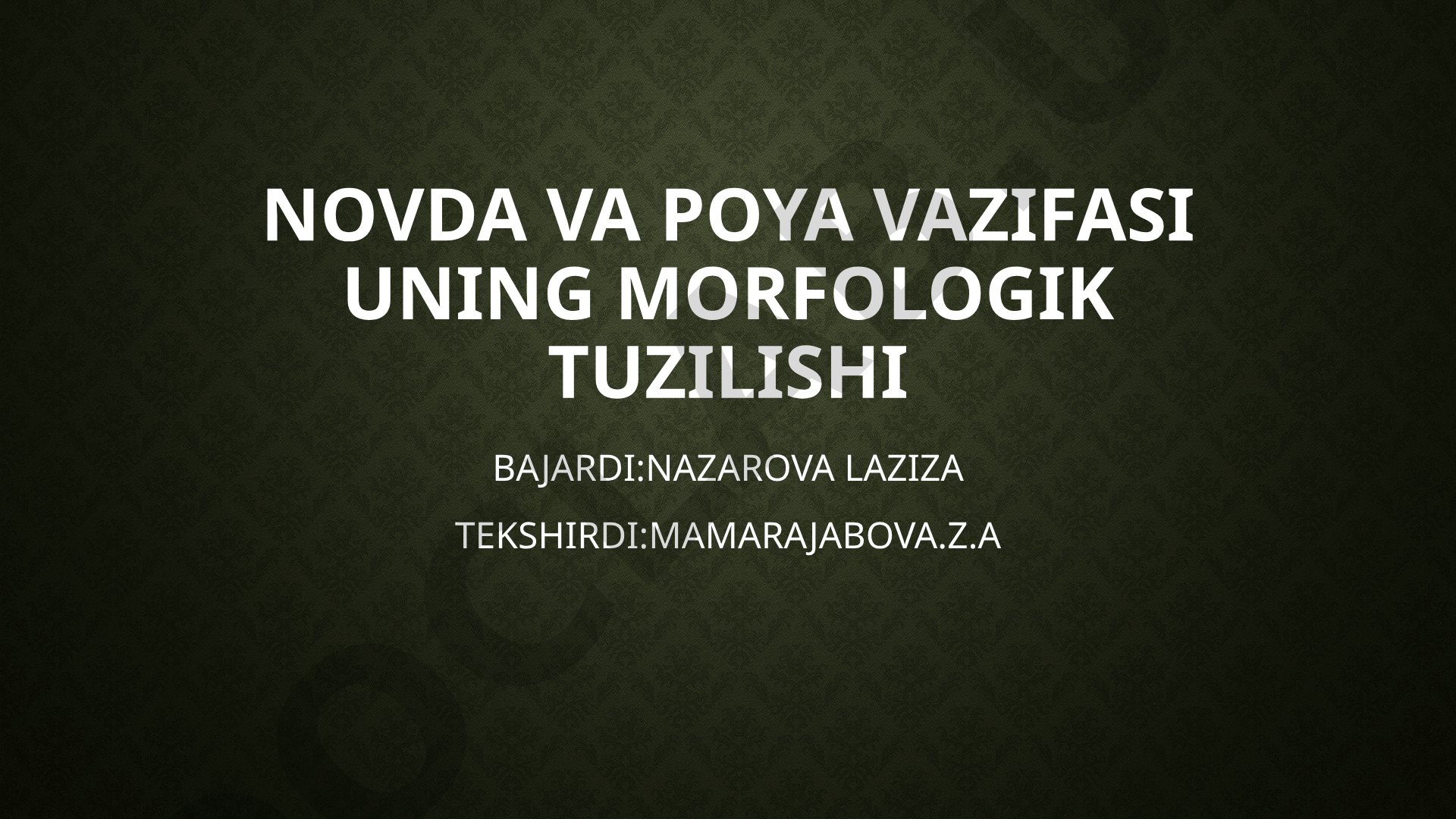 Novda va poya vazifasi uning morfologik tuzilishi