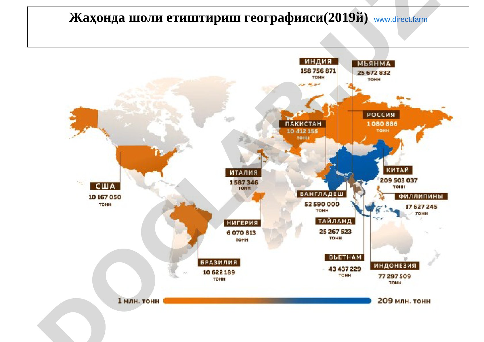 Жаҳонда шоли етиштириш географияси(2019й)