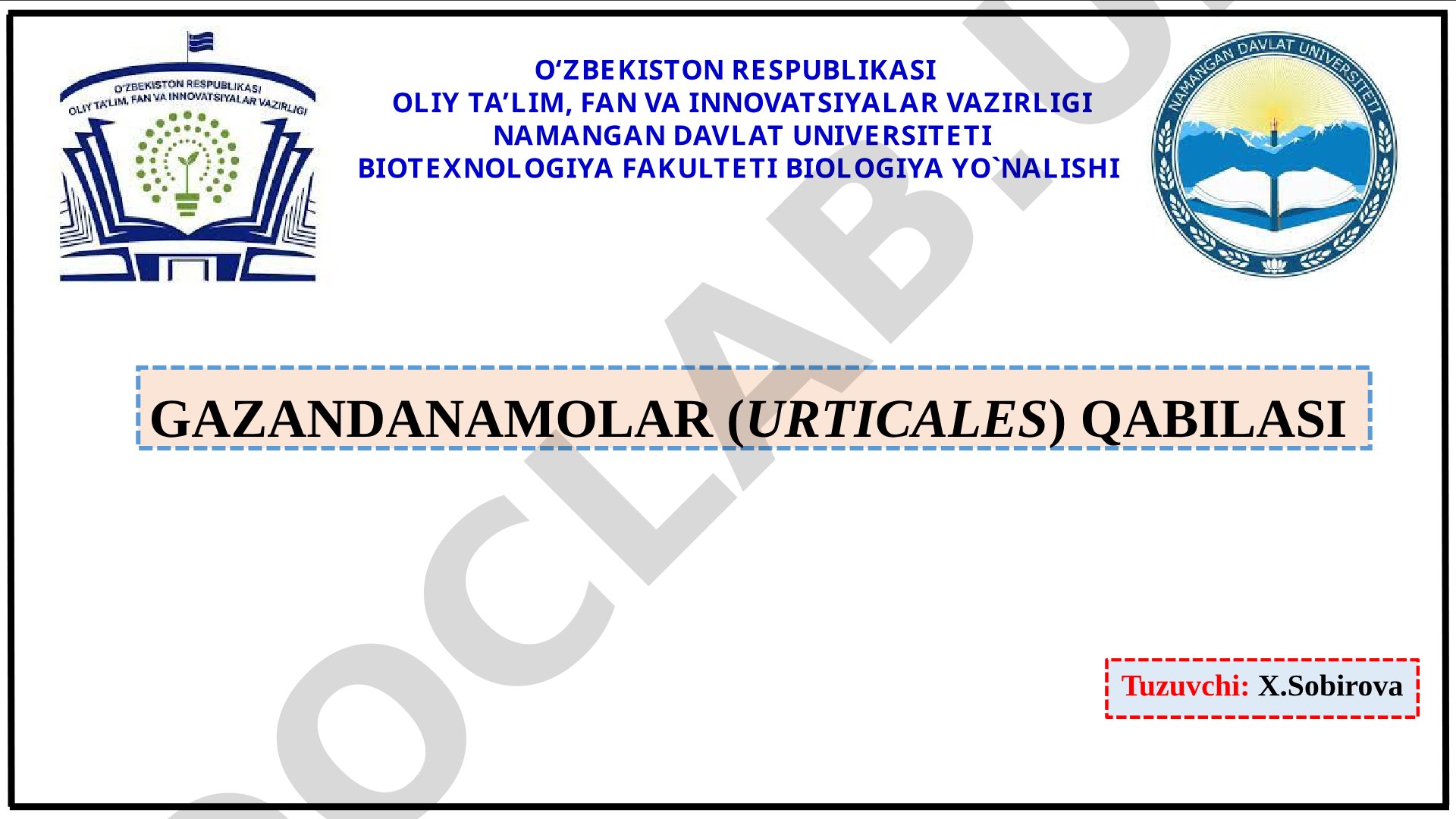 Gazandanamolar (Urticales) qabilasi