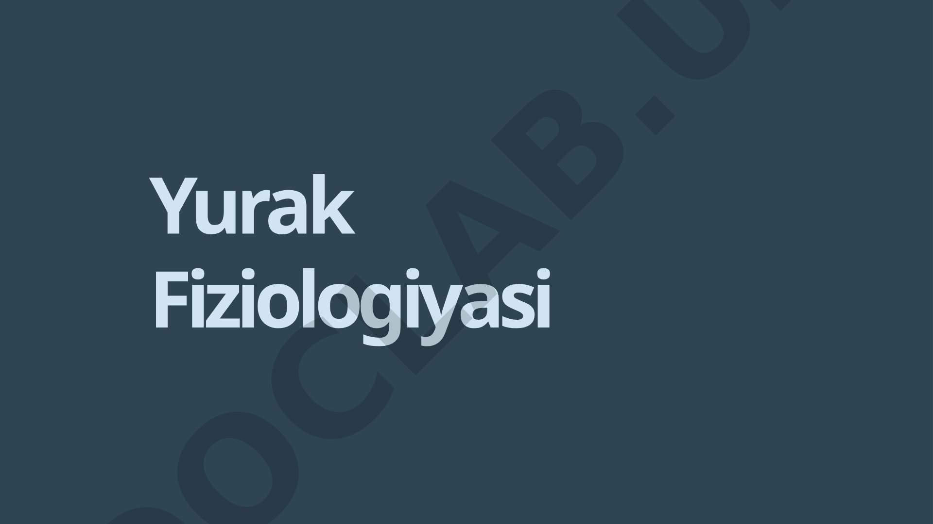 Yurak tuzilishi, qon tomirlari, kardiomiositlar, yurak sikli va minutlik hajmi haqida