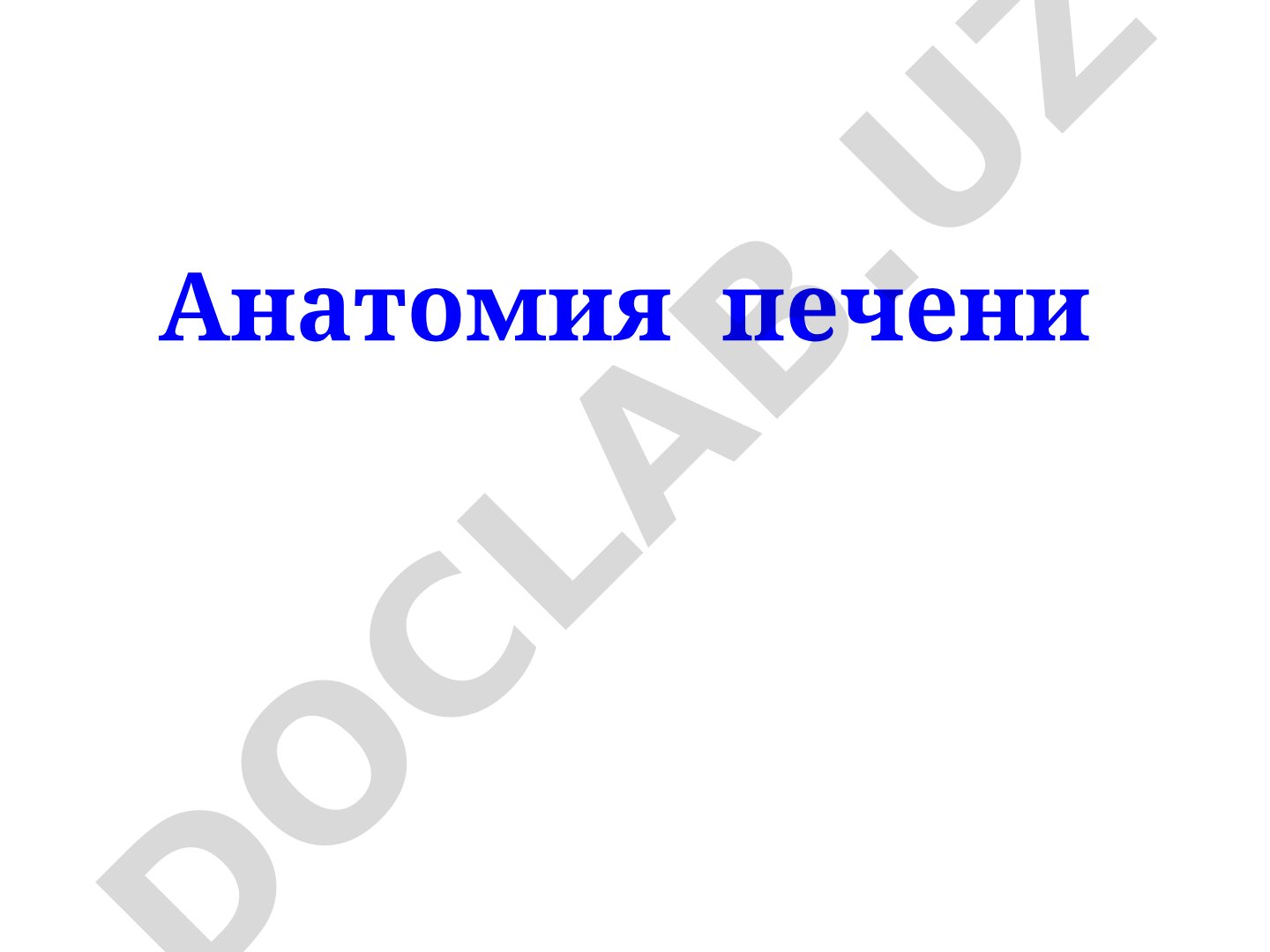 Анатомия печени: строение и функции