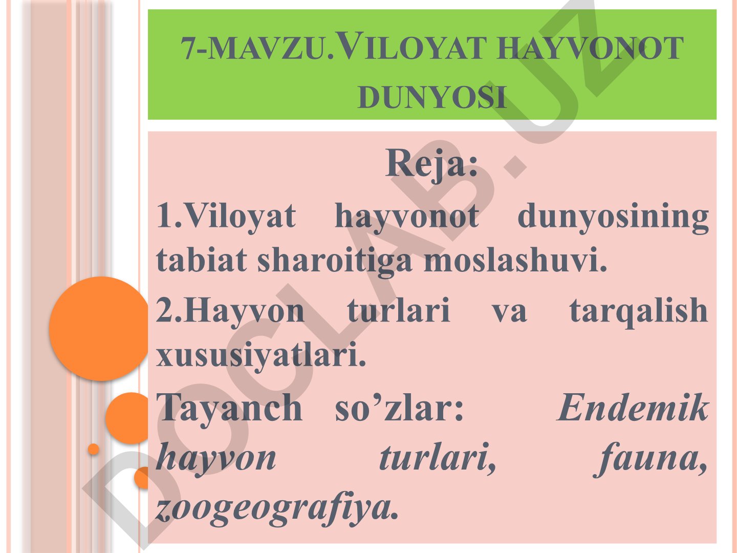 Viloyat hayvonot dunyosi