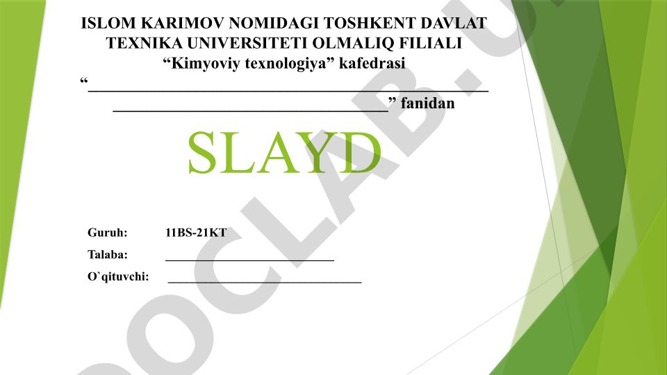 Oltinni eritish uchun bakteryalarning faol shtammlarini seleksiyasi