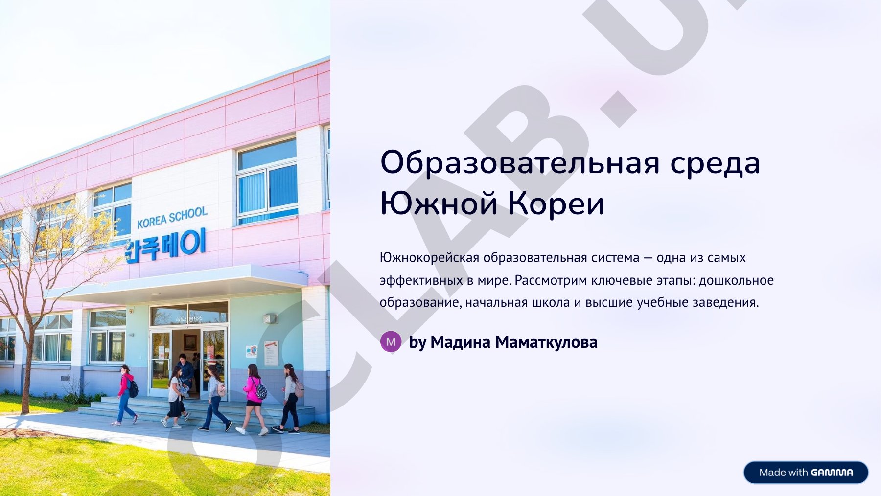 Эффективность и структура визуальных коммуникаций