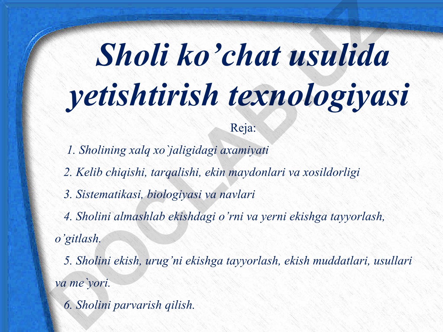 Sholi ko'chat usulida yetishtirish texnologiyasi