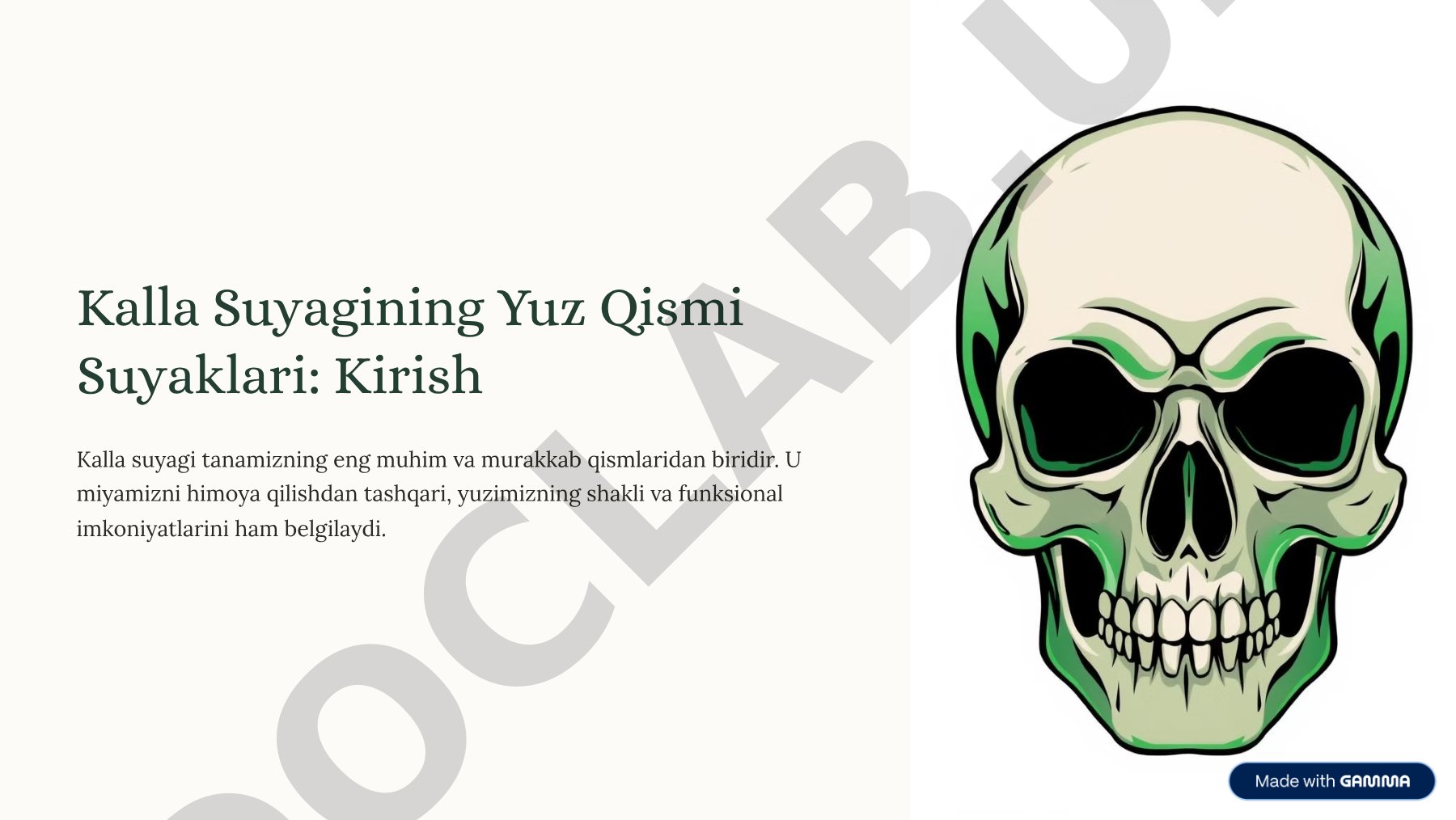 Kalla Suyagining Yuz Qismi Suyaklari: Kirish