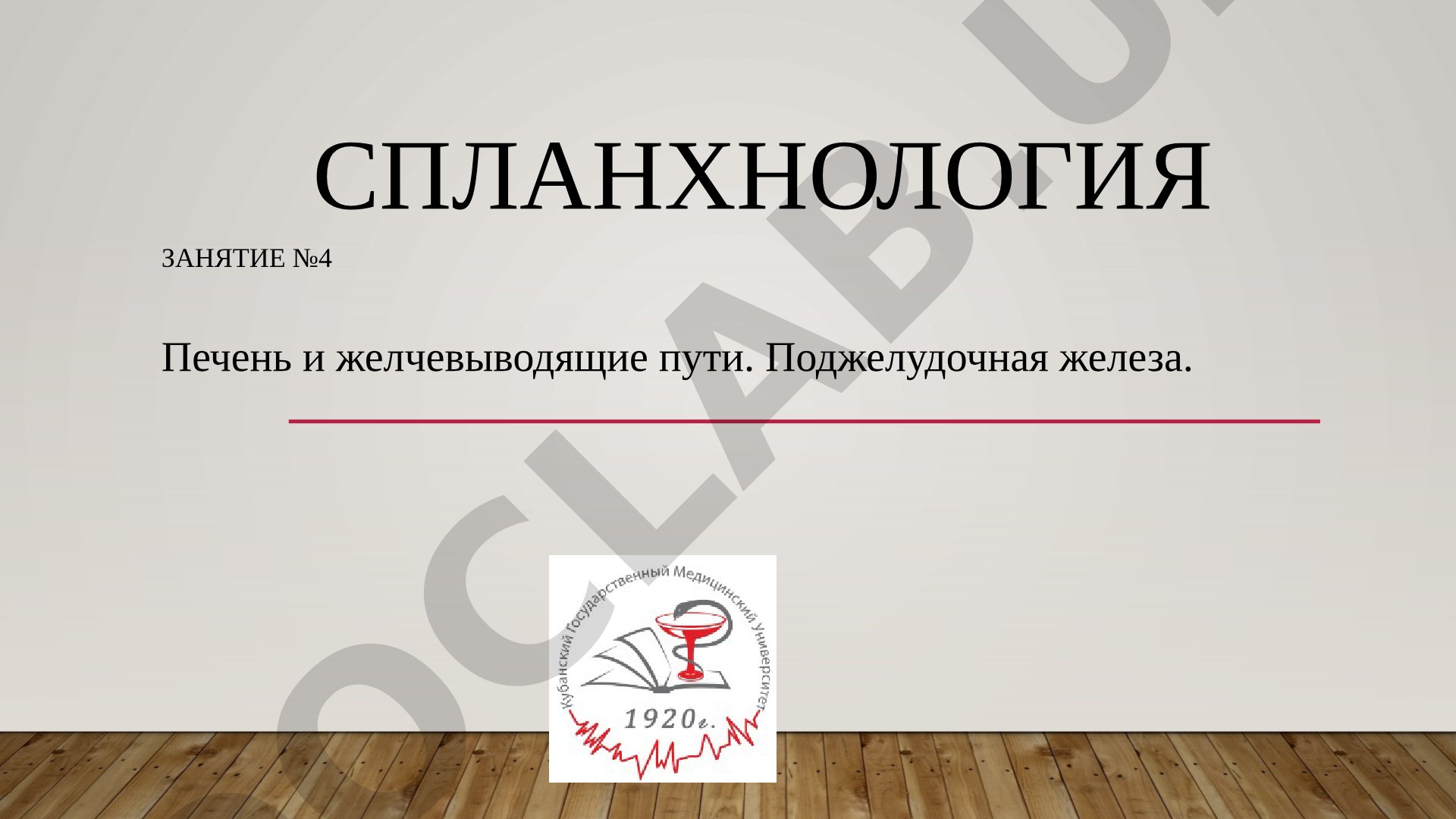 Печень и желчевыводящие пути. Поджелудочная железа.