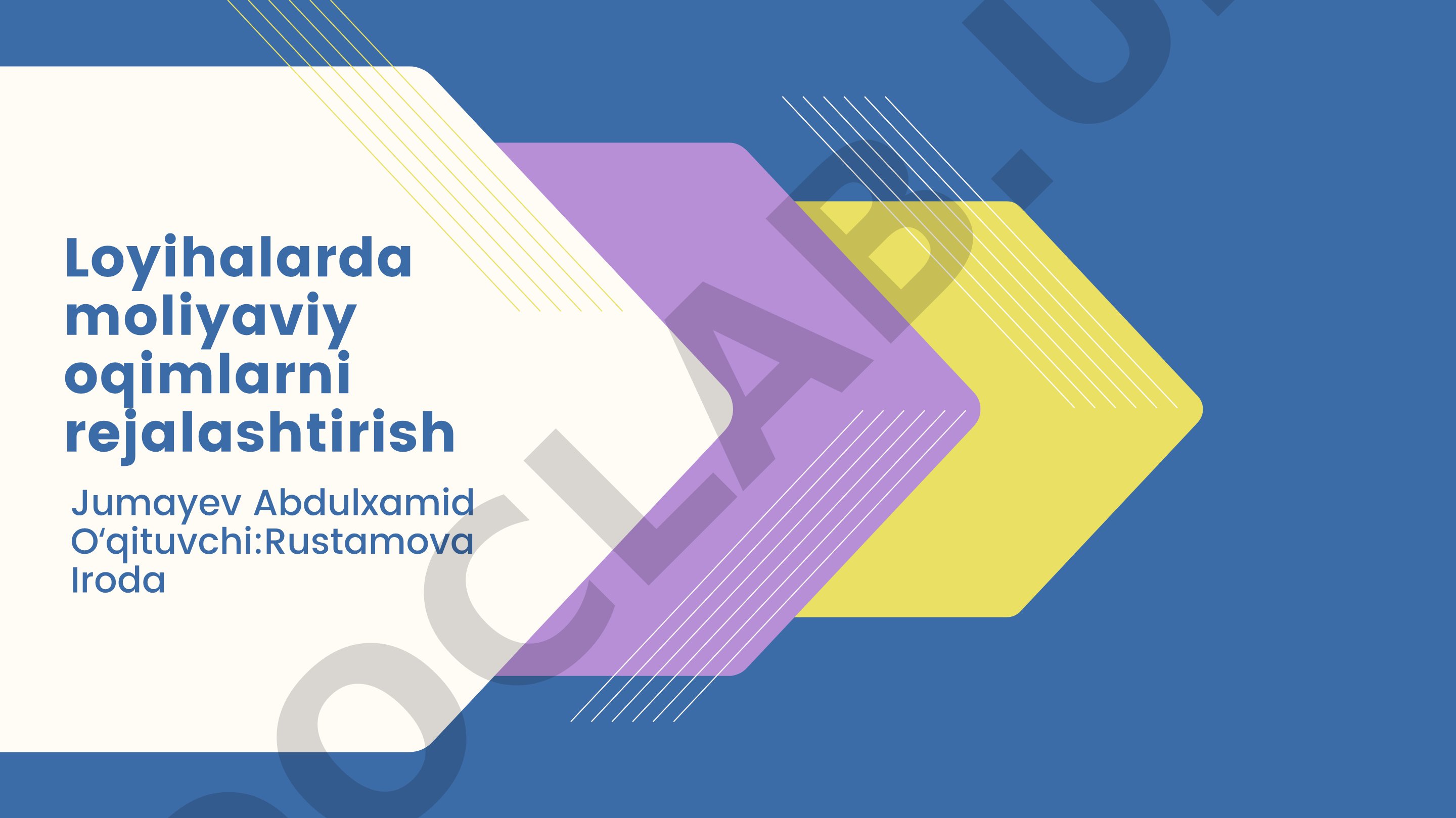 Loyihalarda moliyaviy oqimlarni rejalashtirish