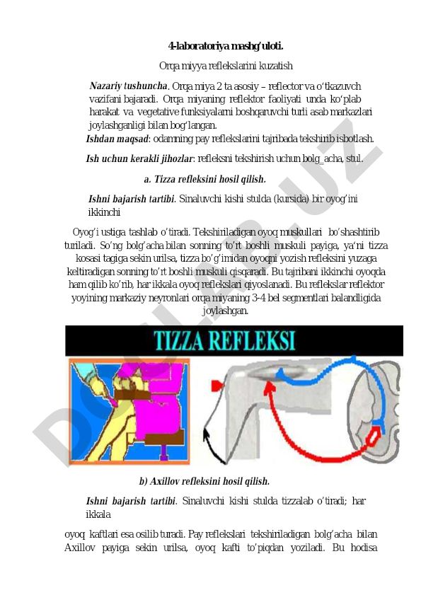 Orqa miyya reflekslarini kuzatish
