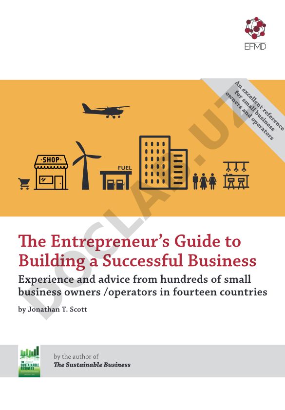 The Entrepreneur's Guide to Building a Successful Business