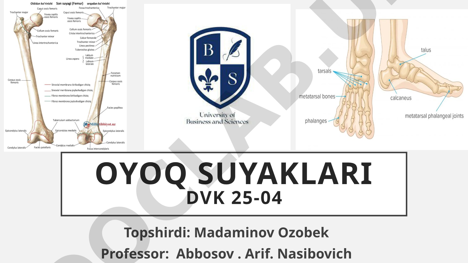 Chanoq suyaklarining tuzilishi: dumg'aza, yonbosh, dum suyaklari va ularning qismlari