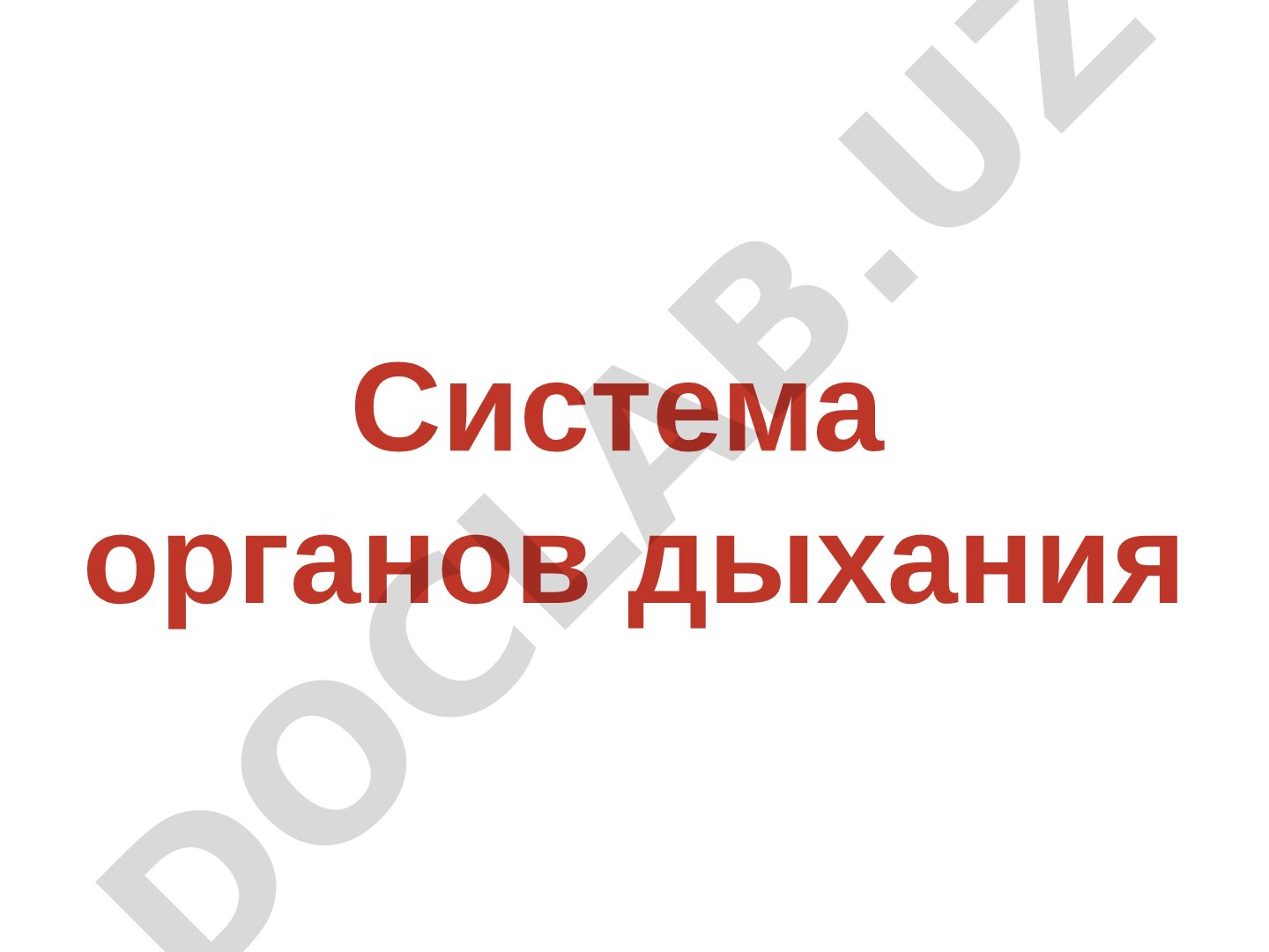 Система органов дыхания