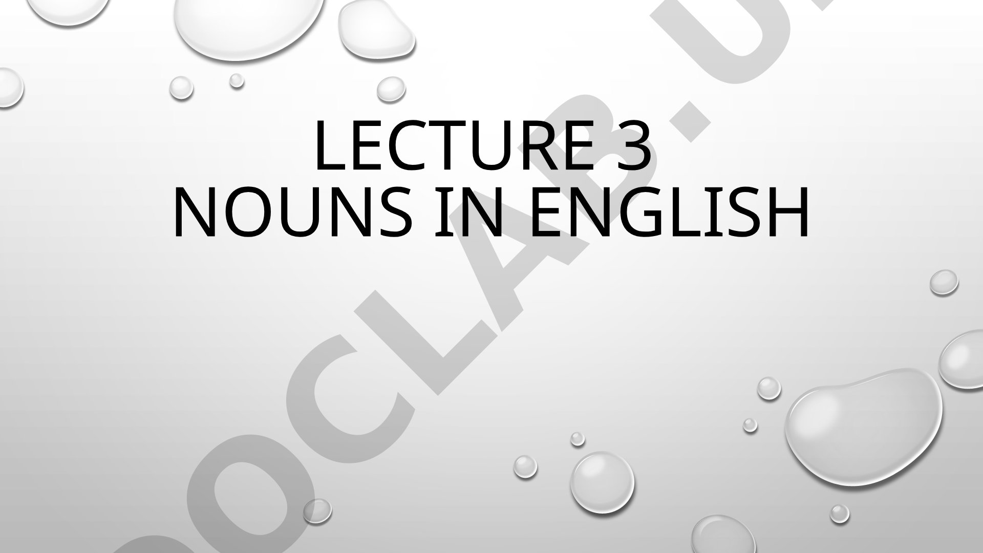 Lecture 3 Nouns in English