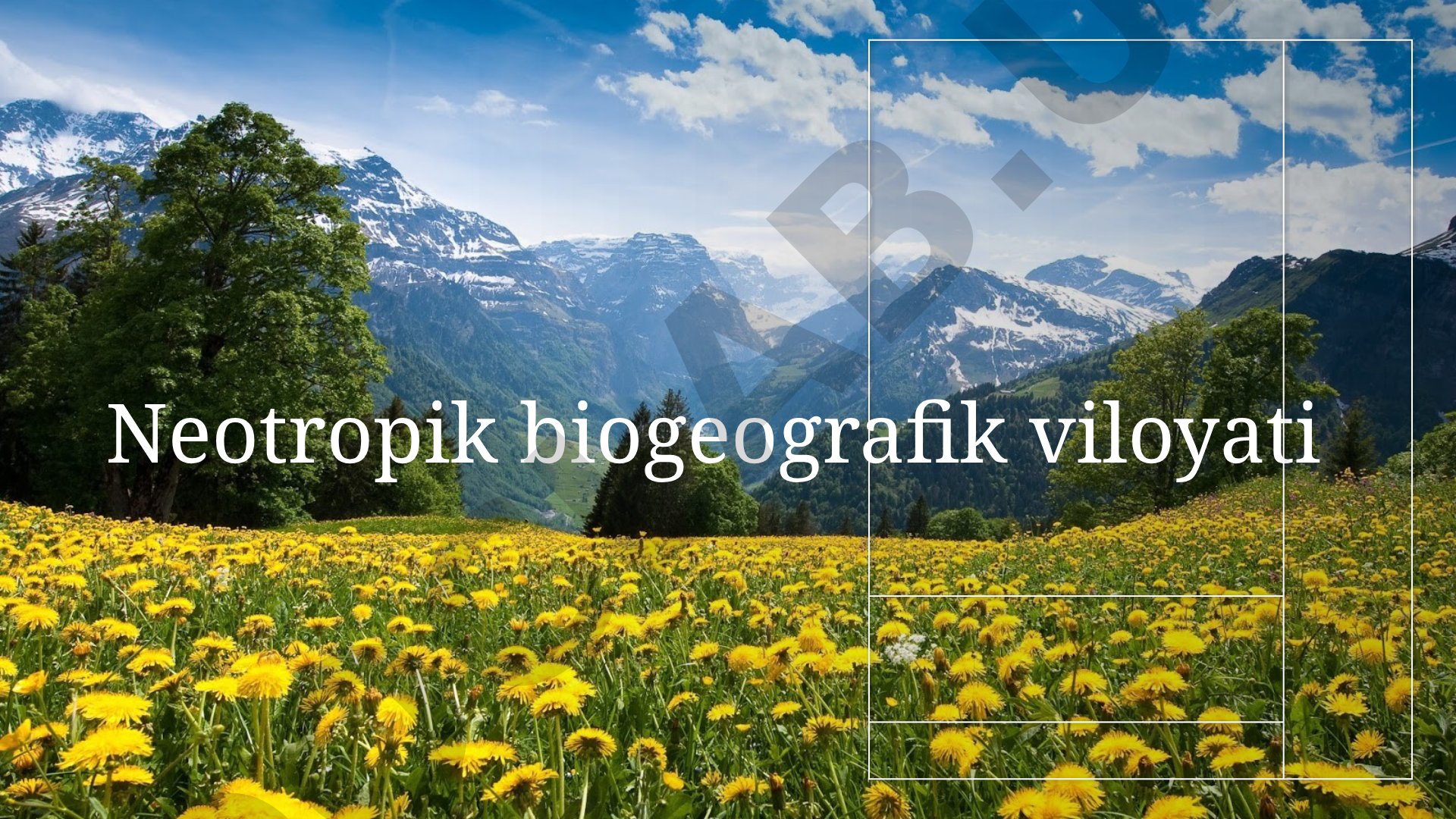 Neotropik biogeografik viloyati