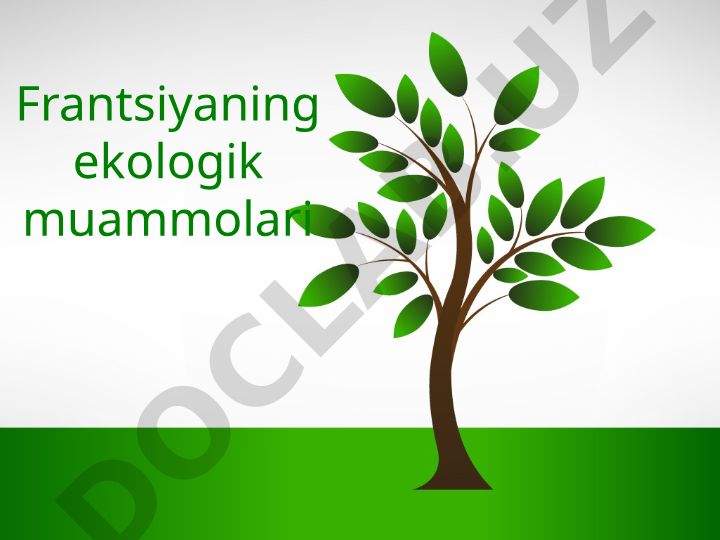 Frantsiyaning ekologik muammolari
