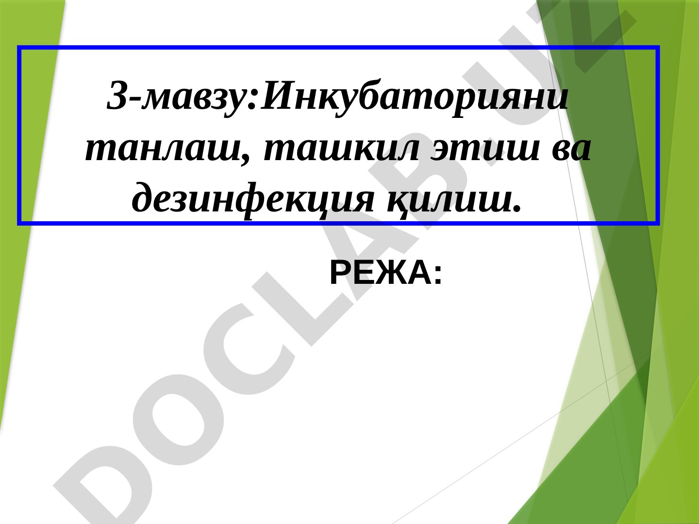 Инкубаторияни танлаш, ташкил этиш ва дезинфекция қилиш