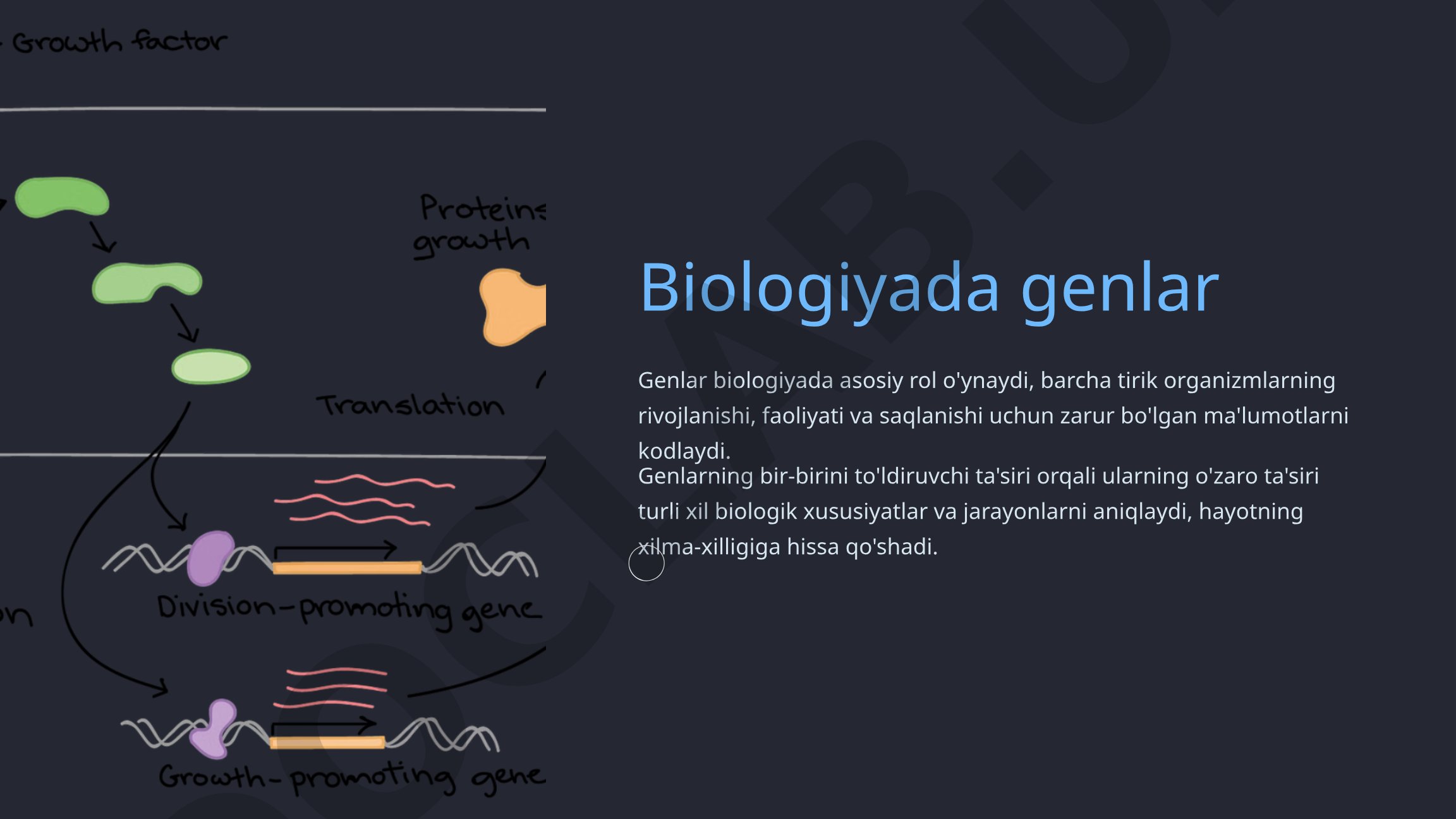 Biologiyada genlar va ularning komplementar ta'siri