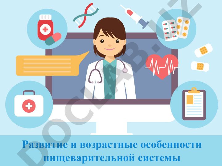 Развитие и возрастные особенности пищеварительной системы