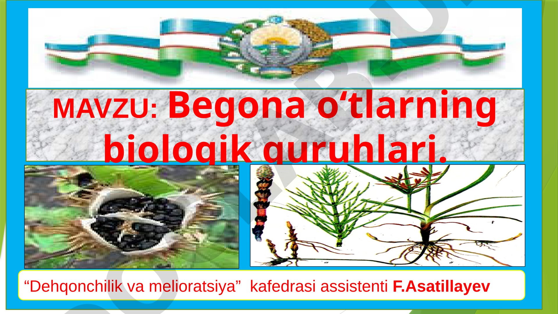 Begona o‘tlarning biologik guruhlari