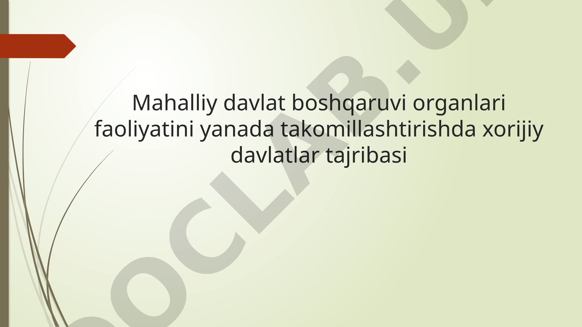 Mahalliy davlat boshqaruvi organlari faoliyatini yanada takomillashtirishda xorijiy davlatlar tajribasi