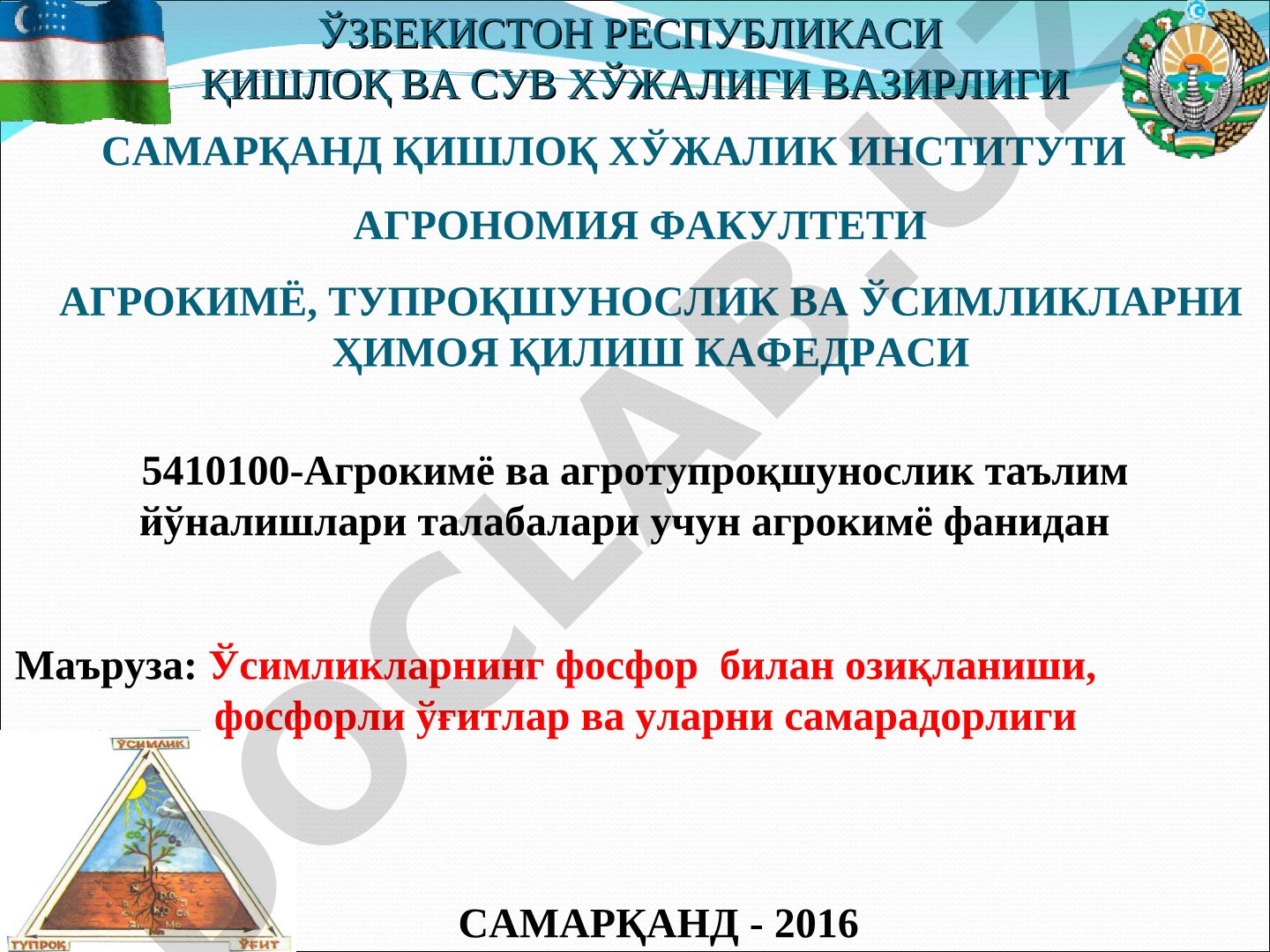 Ўсимликларнинг фосфор билан озиқланиши, фосфорли ўғитлар ва уларни самарадорлиги