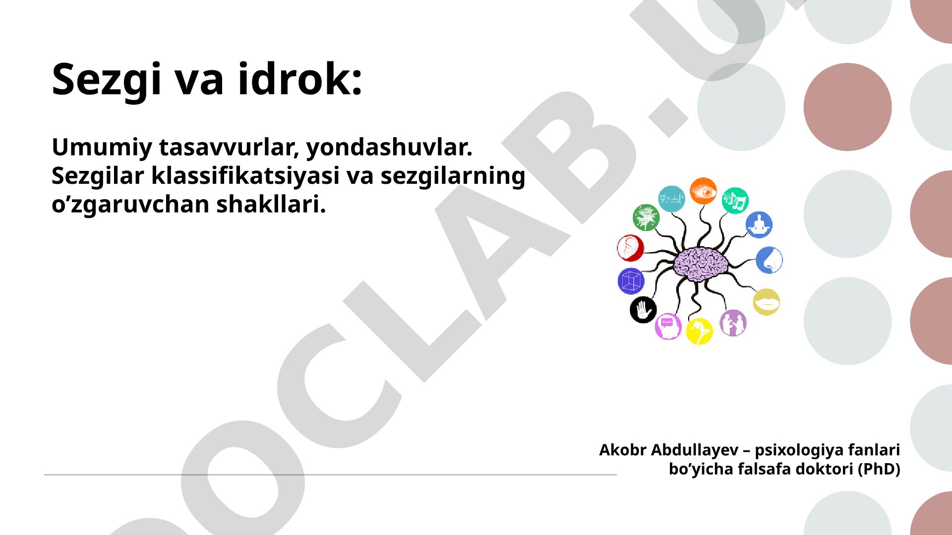 Sezgi va idrok: Umumiy tasavvurlar, yondashuvlar