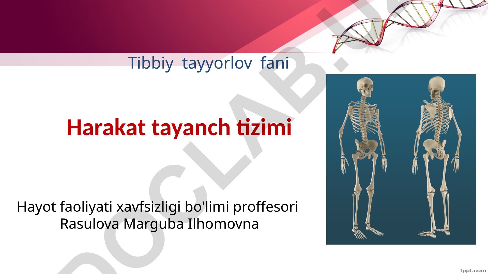 Odam skeleti va uning asosiy vazifalari