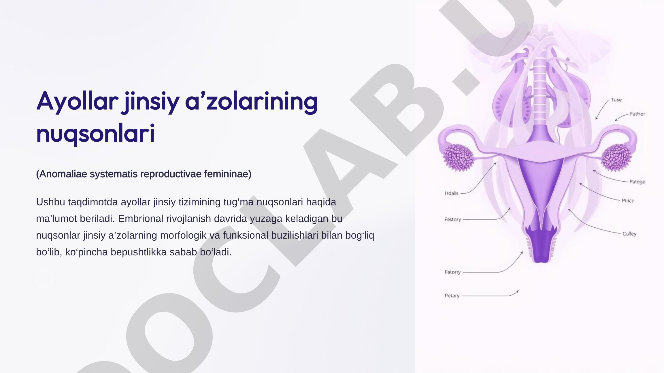 Ayollar jinsiy a’zolarining nuqsonlari