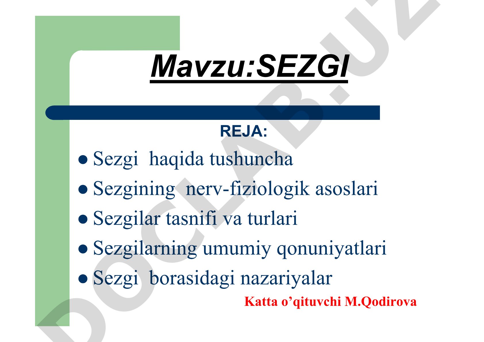 SEZGI
