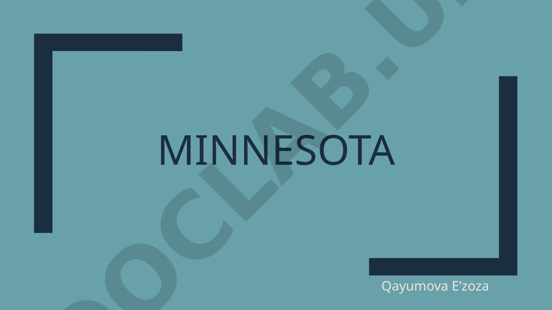 Minnesota shtati iqtisodiy ko'rsatkichlari