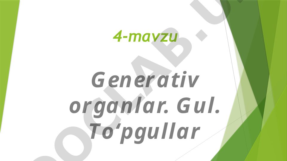 Generativ organlar. Gul. To‘pgullar