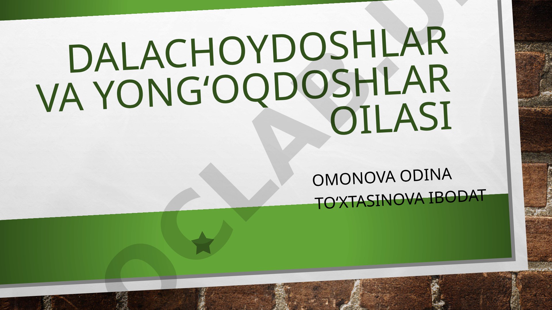 Dala choydoshlar oilasi va Hypericum perforatum o'simligi